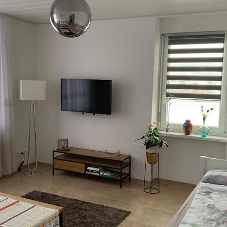 Grenznahe Ferienwohnung Mit 4 Schlafzimmern Гренцах-Вилен Экстерьер фото