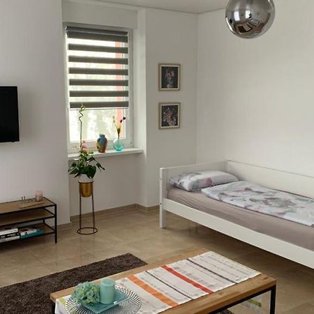 Grenznahe Ferienwohnung Mit 4 Schlafzimmern Гренцах-Вилен Экстерьер фото