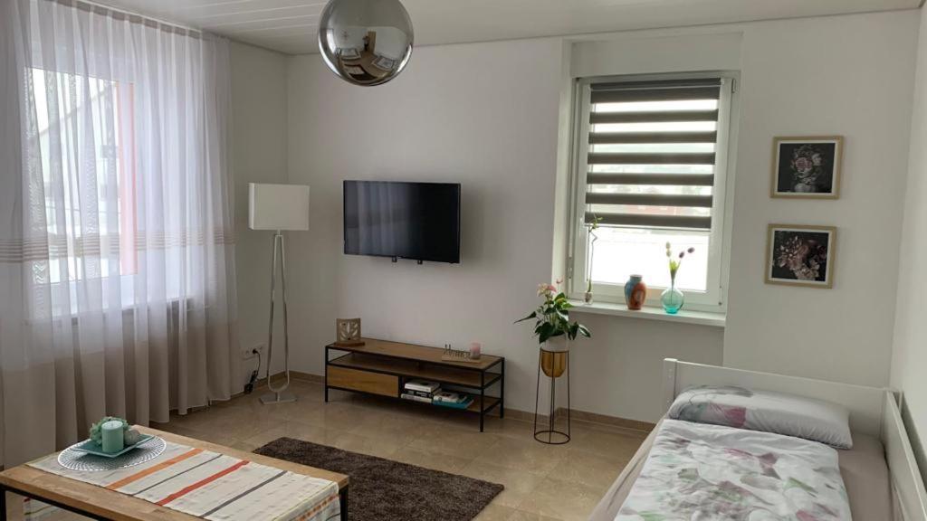 Grenznahe Ferienwohnung Mit 4 Schlafzimmern Гренцах-Вилен Экстерьер фото